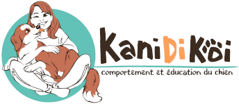 Kanidikoi | Comportement et éducation du chien